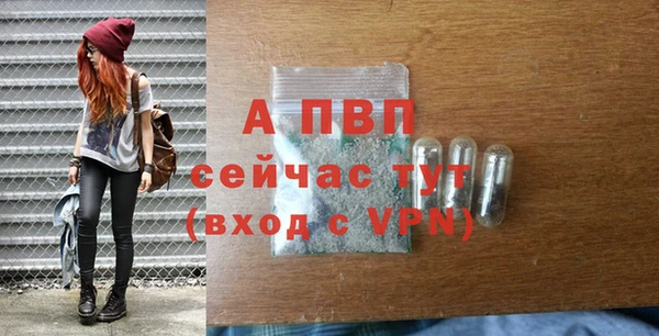 Альфа ПВП Козельск