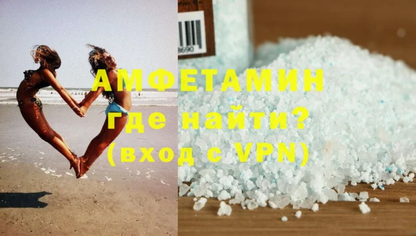 индика Абаза
