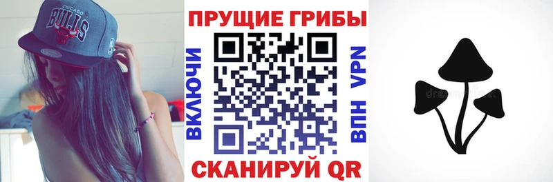МЕГА ONION купить Приозерск Псилоцибиновые грибы Psilocybe
